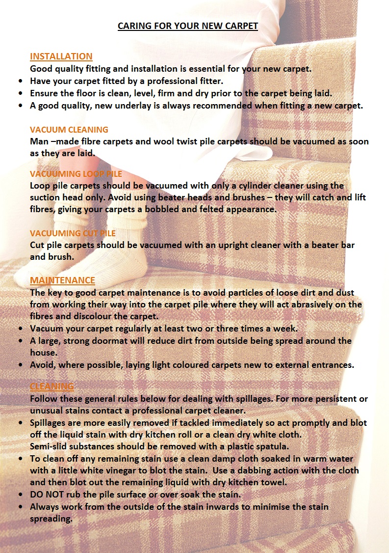 Carpet Care Guide Carpetstudio
